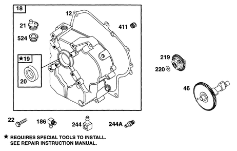 Crankcase Cover Cam Diagram and Parts List for 195431-2234-XX  Briggs and Stratton Engine